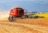 Safra recorde de 2025 faz valor da produção agrícola atingir R$ 927,2 bilhões, diz IBGE