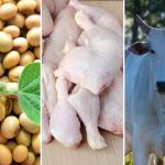 Exportações do agro sobem 6,7% em agosto e têm superávit de US$ 13,5 bi, aponta Faesp