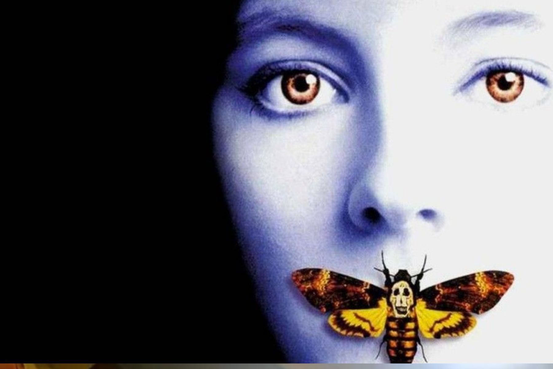 Mariposa de "O Silêncio dos Inocentes" encontrada em composteira de escola