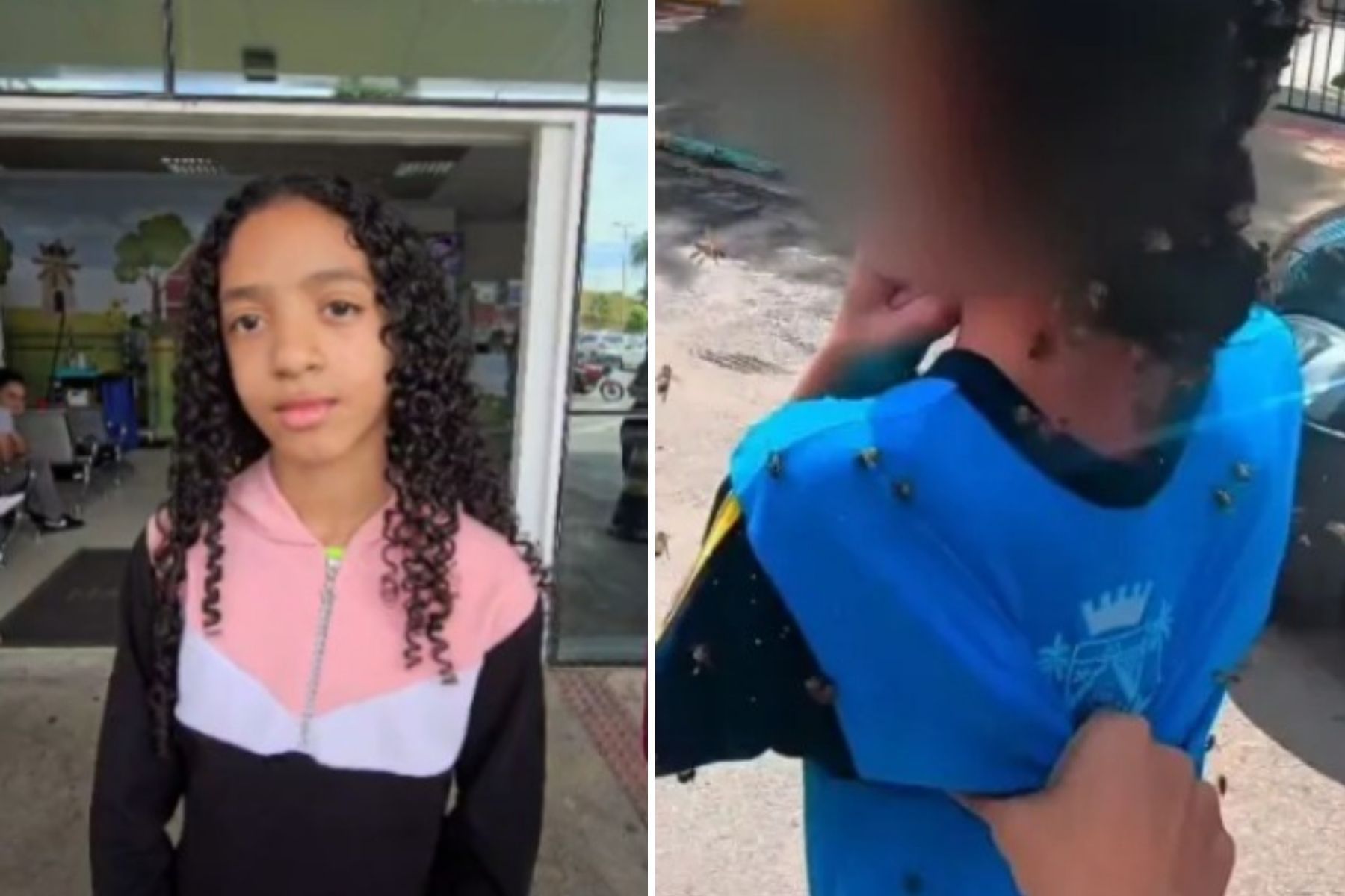 ‘Pensava que ninguém ia vir para me ajudar’, diz menina atacada por abelhas na Grande BH