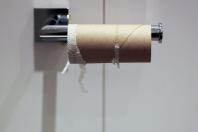 Não jogue os rolos de papel higiênico fora: 4 formas inteligentes de reaproveitá-los no jardim