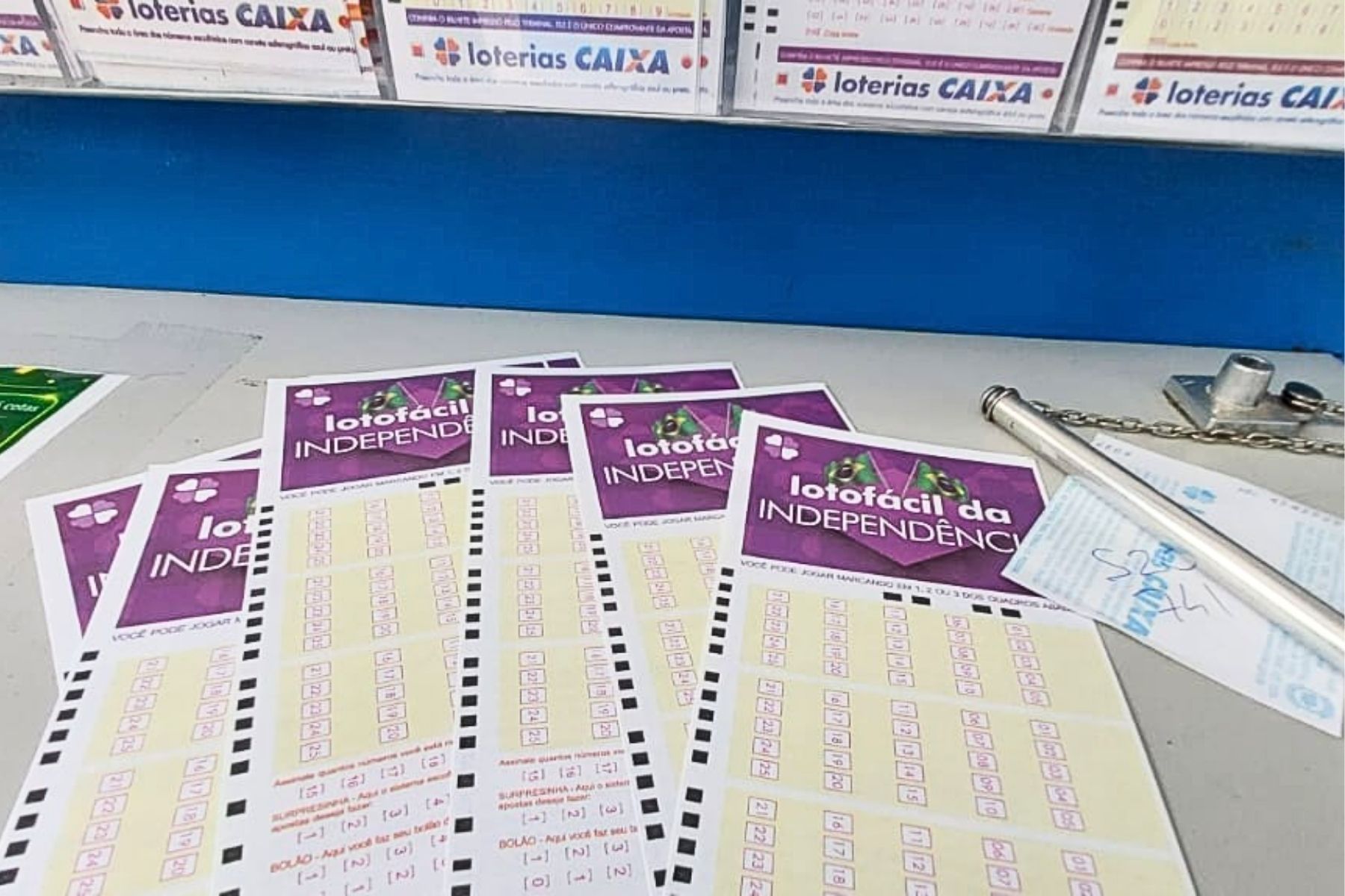 Lotofácil da Independência: veja até quando apostar no concurso de R$ 300 milhões
