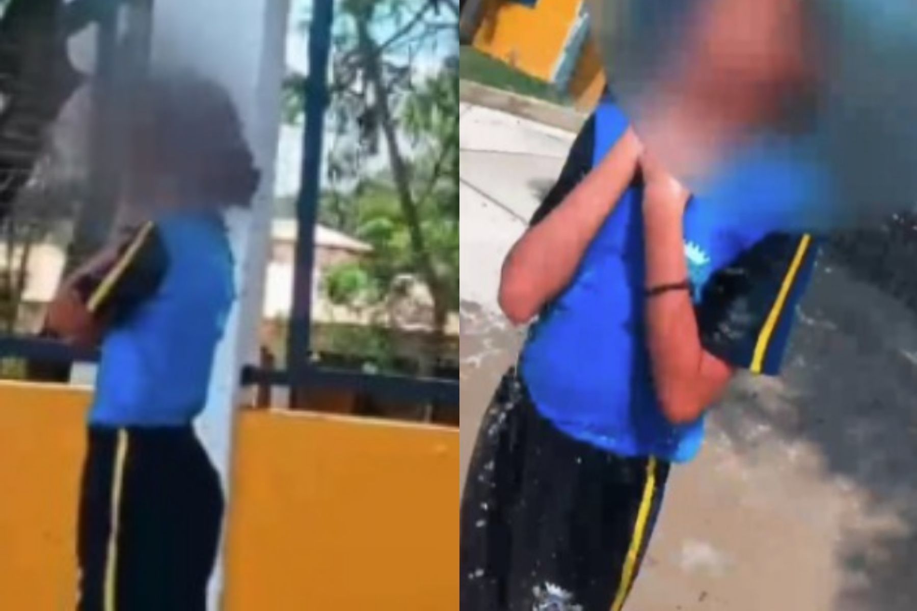 Aluna buscava a irmã quando foi atacada por abelhas na Grande BH