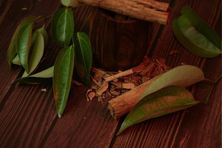 Ferver folhas de louro, canela e cravo-da-índia: para que serve essa mistura e por que é recomendado
