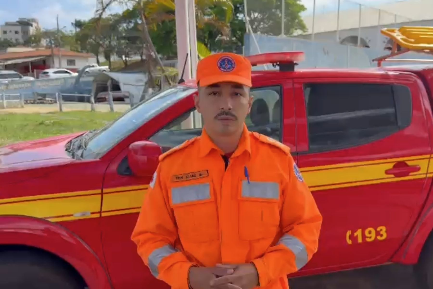 Ataque de abelhas: saiba como agir em caso de emergência e evitar mortes