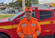 Ataque de abelhas: saiba como agir em caso de emergência e evitar mortes