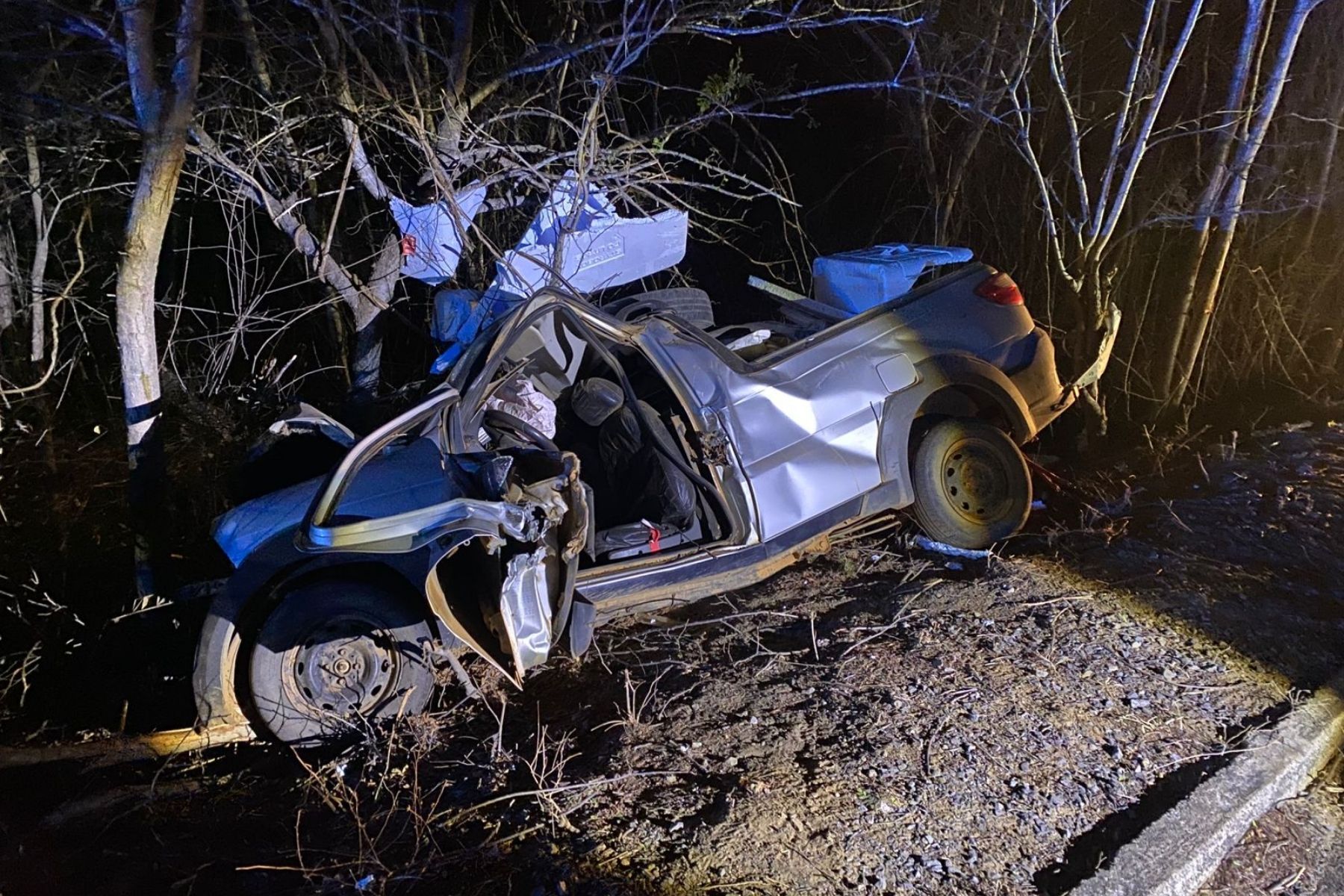 Motorista morre após batida em árvore na MG-401