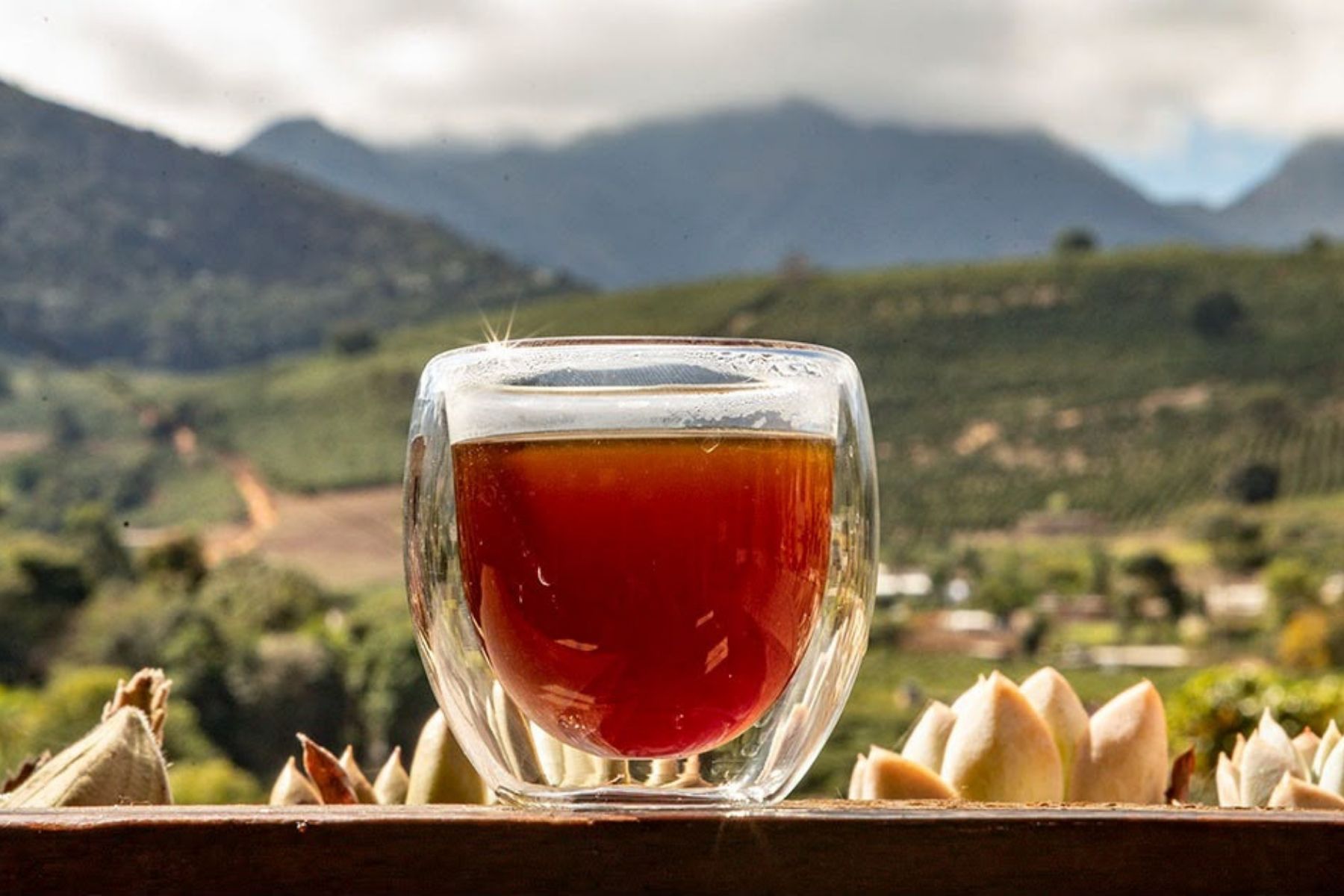 Região do Caparaó se destaca na produção de cafés especiais em Minas