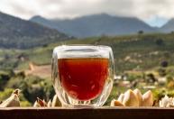 Região do Caparaó se destaca na produção de cafés especiais em Minas