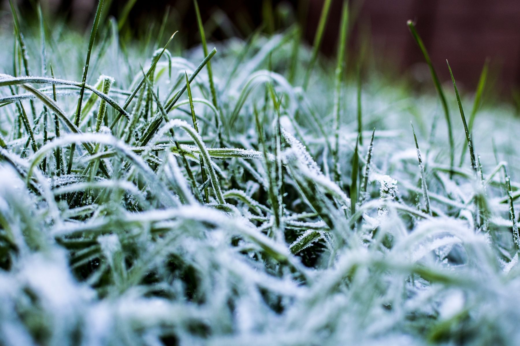 Frente fria: cidades de SC registram termômetros abaixo de 0°C e neve; veja imagens