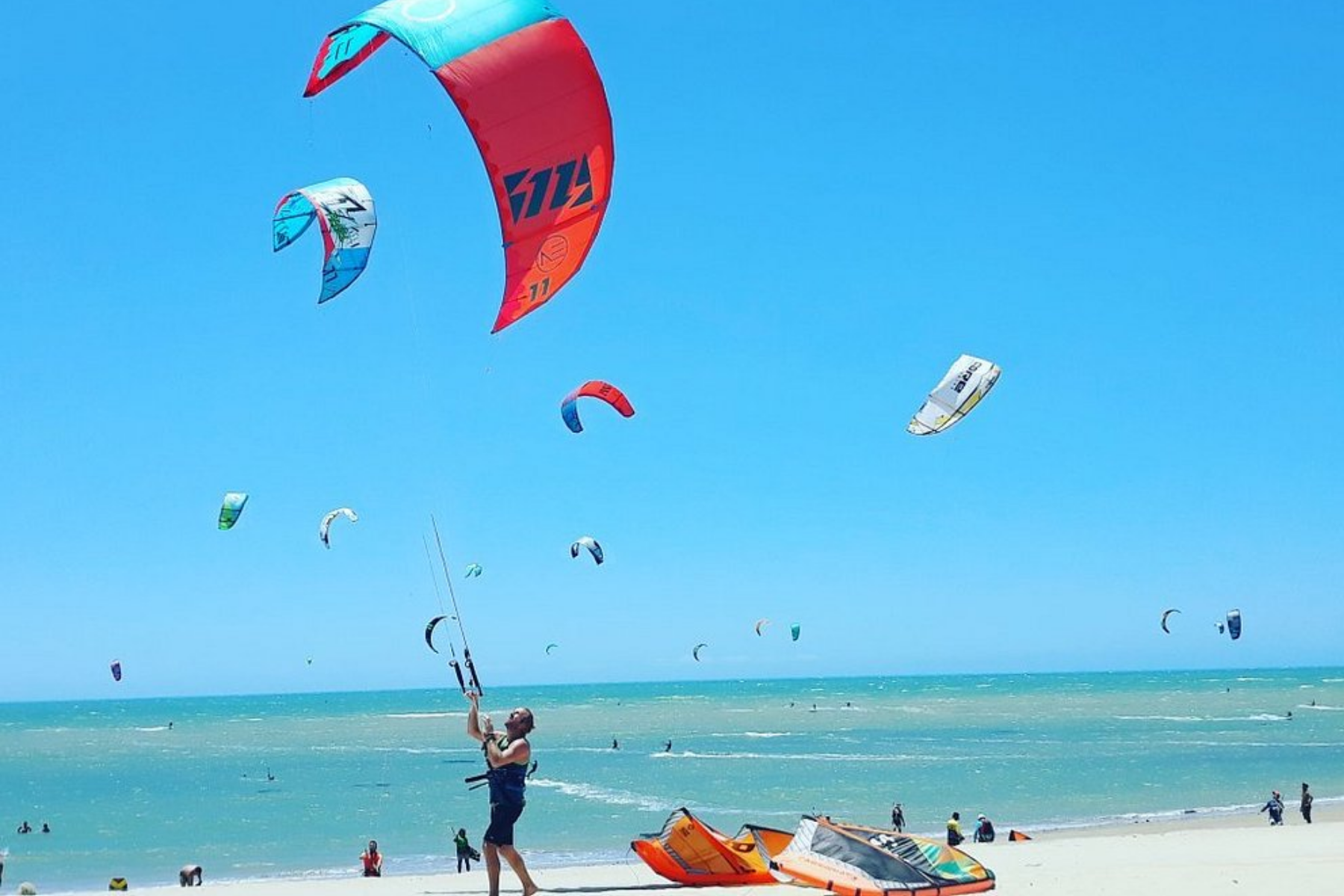 Voluntários são necessários em uma praia paradisíaca no Brasil: veja as condições