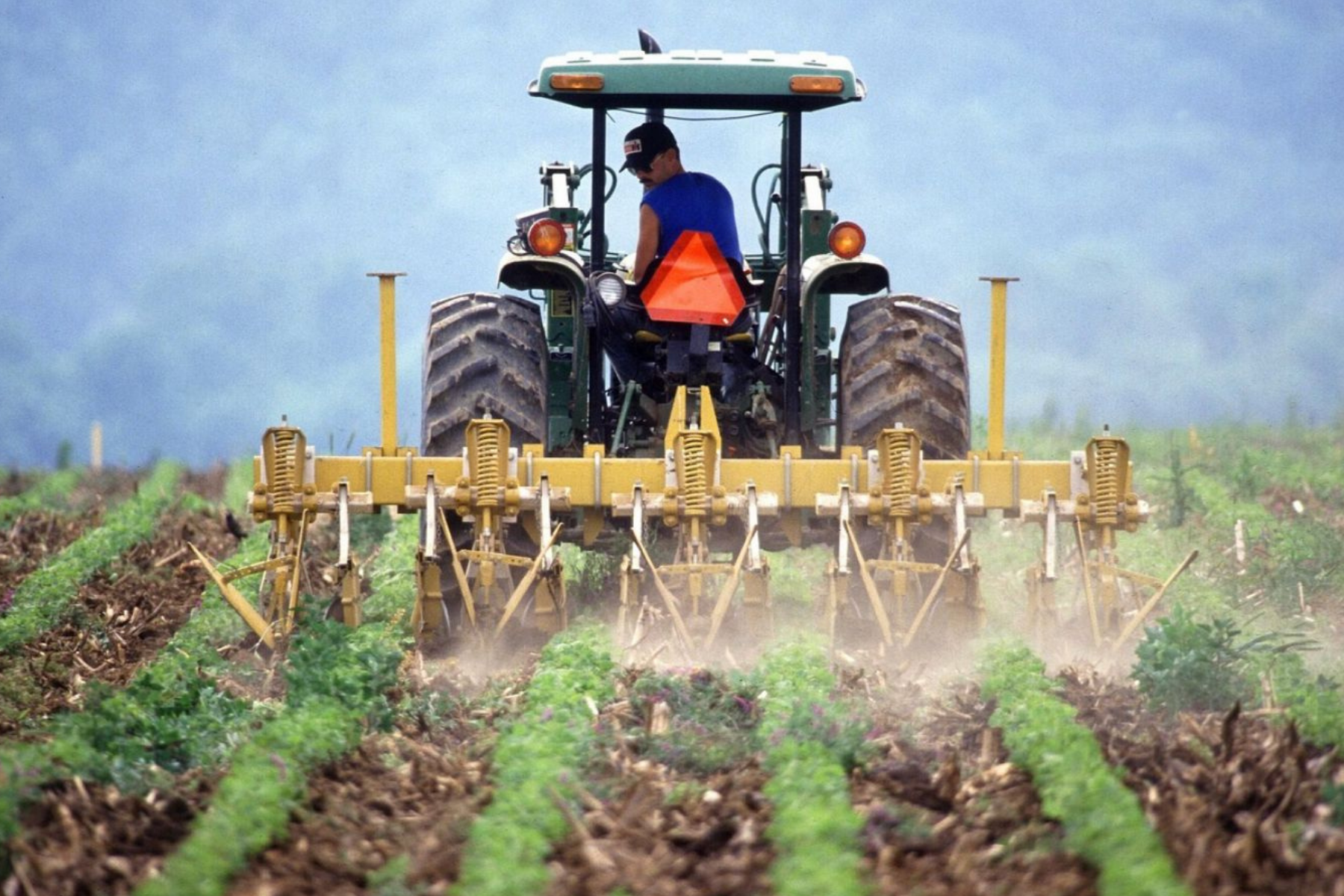 Valdir Barbosa: fertilizantes continuam sendo dor de cabeça para os produtores rurais