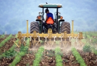 Valdir Barbosa: fertilizantes continuam sendo dor de cabeça para os produtores rurais