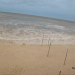 Tsunami meteorológico atinge SC: entenda o fenômeno e a relação com o Super El Niño