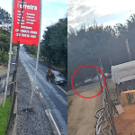 Vídeo: acidente envolvendo dois carros e um cavalo na Grande BH deixa três feridos