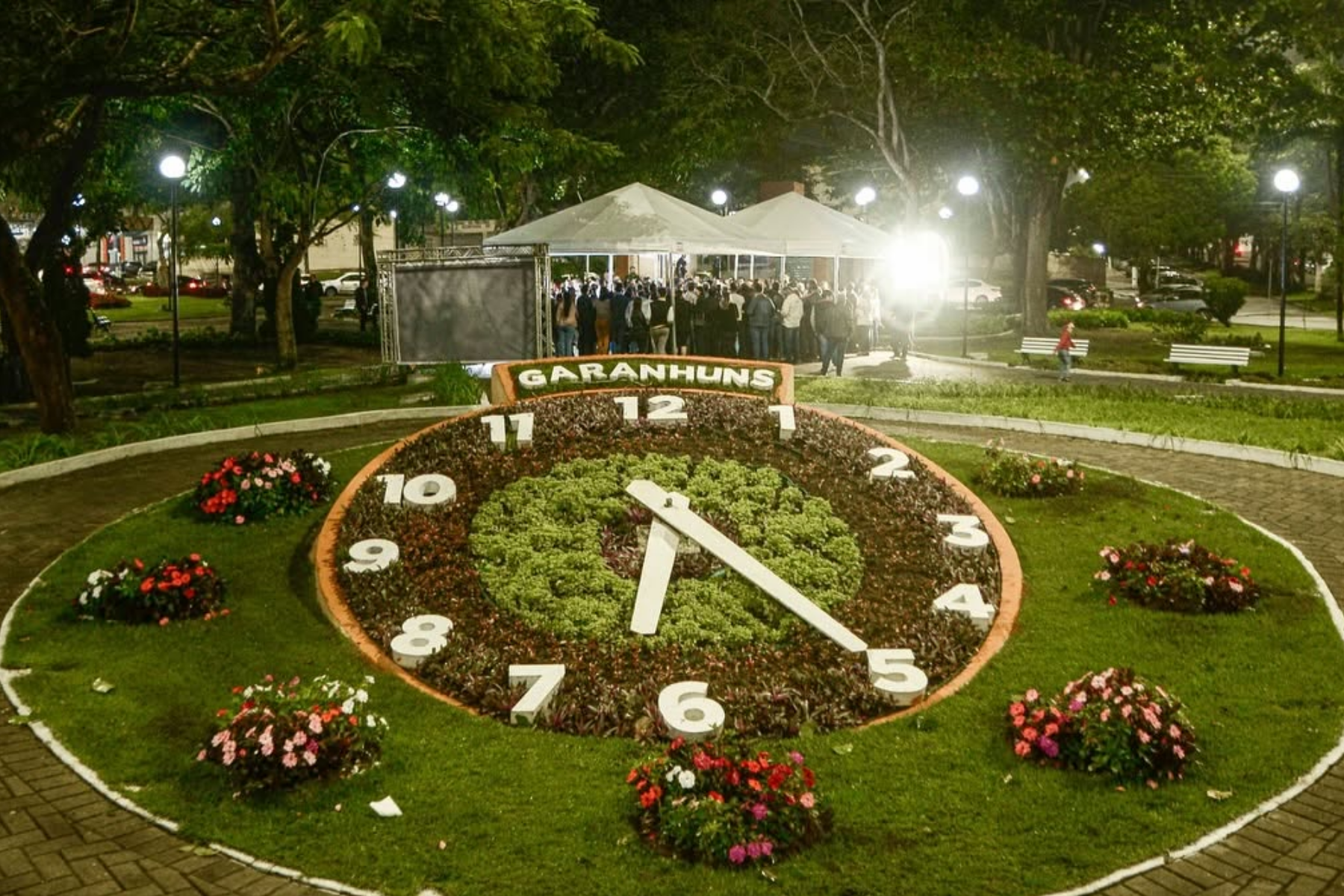 'Suíça Pernambucana' tem montanhas com flores e o maior festival cultural da América Latina