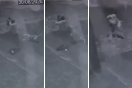 Pinscher morre após ataque de pit bull solto no interior de SP; tutora fica ferida