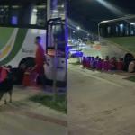 Vídeo: 'Camicase' atira dentro de ônibus que levava presos para obra na Grande BH