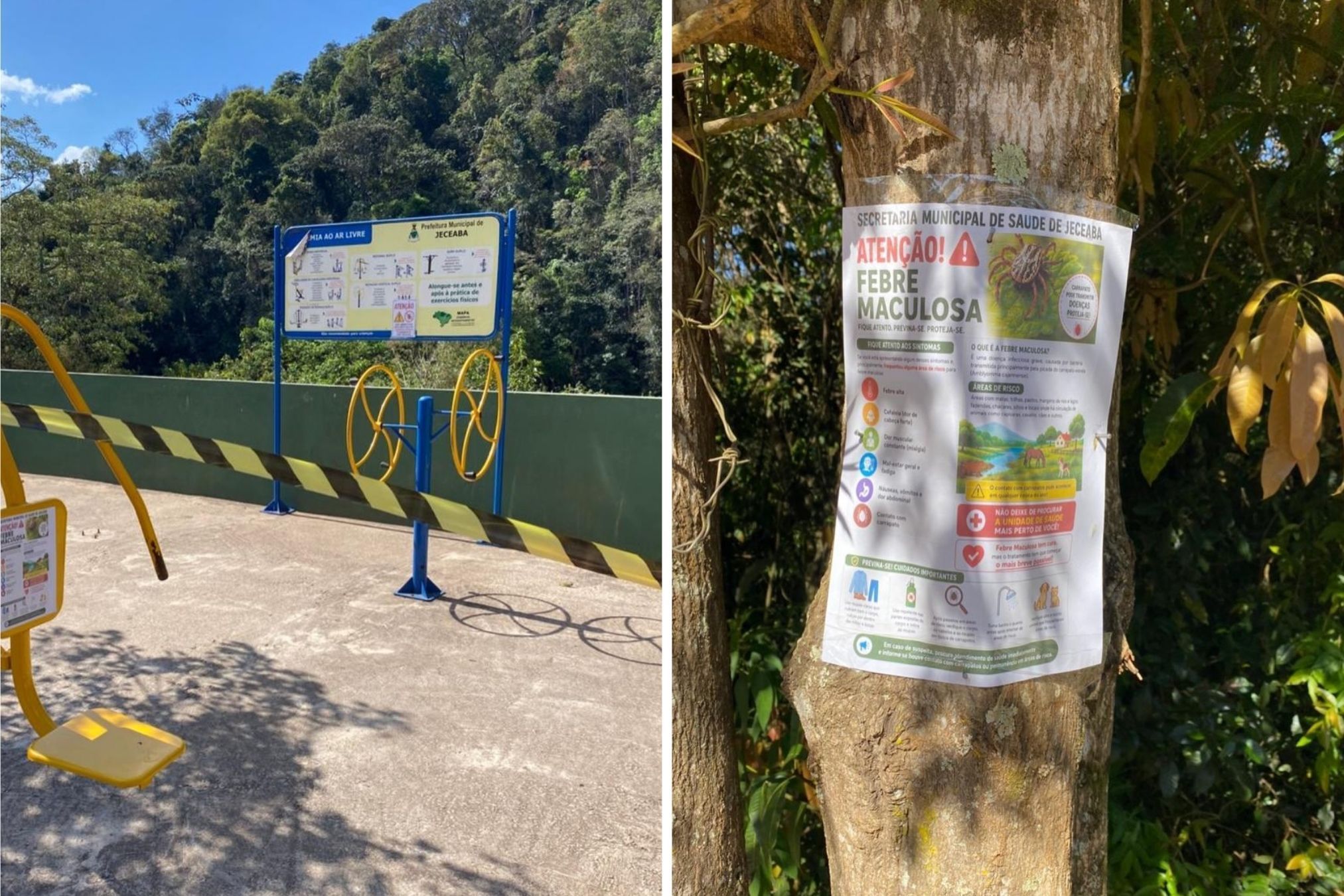 Cidade mineira registra morte por febre maculosa e interdita locais públicos