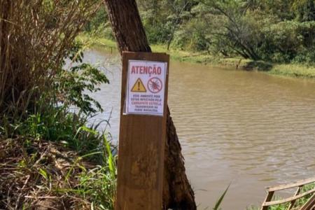 MG já registra 11 mortes por febre maculosa até agosto; número supera total de 2025