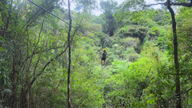 Conheça algumas experiências incríveis em Brumadinho