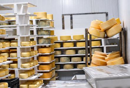 Mesmo com alta na produção, leite gaúcho perde espaço para importados do Mercosul
