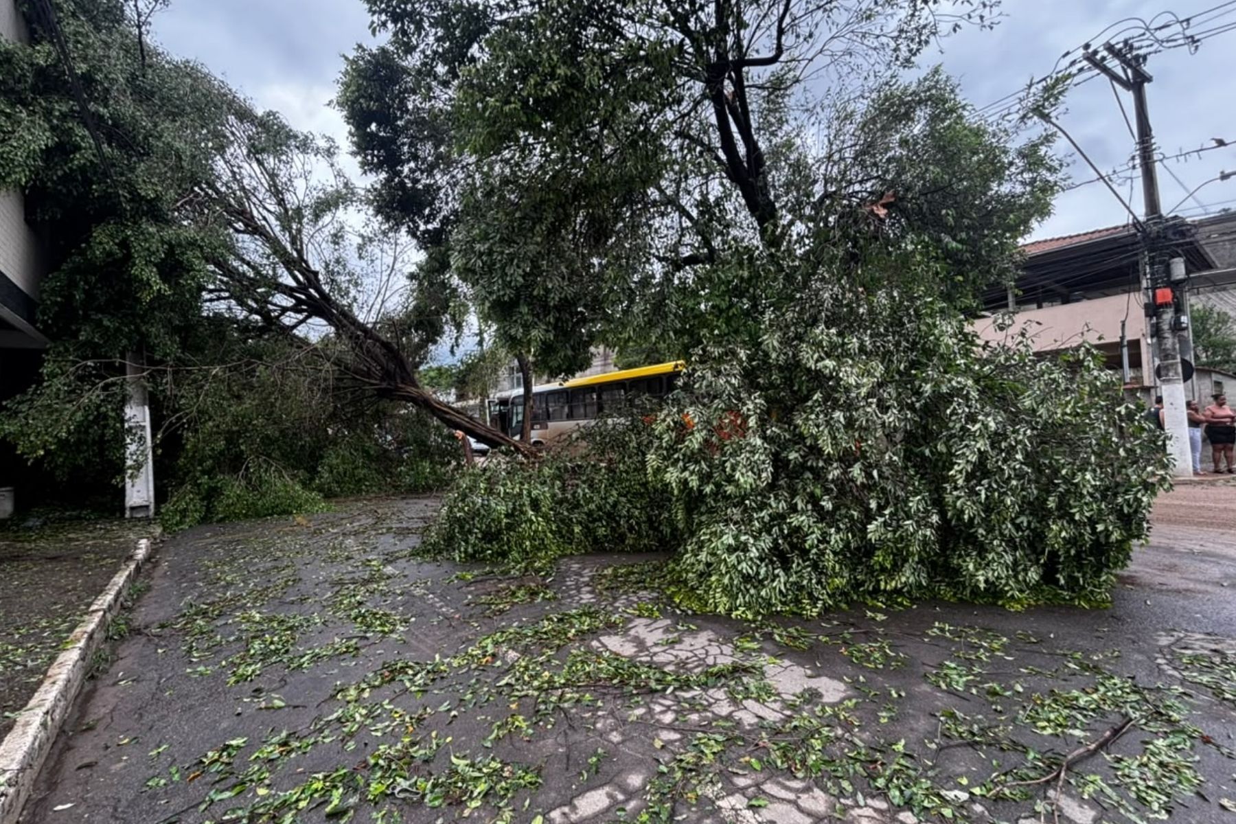 Timóteo decreta situação de emergência após vendaval e chuva de granizo