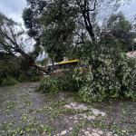 Timóteo decreta situação de emergência após vendaval e chuva de granizo