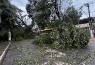 Timóteo decreta situação de emergência após vendaval e chuva de granizo