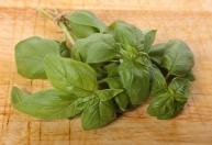 Como cultivar manjericão em casa: cuidados, usos e dicas para manter a planta saudável