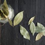 Louro com vinagre branco: para que serve essa mistura na limpeza da casa?