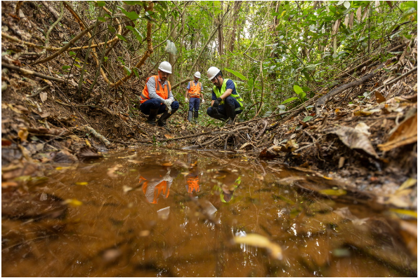 Recuperação ambiental que gera valor para as comunidades