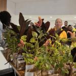 Mapro distribui mudas de plantas para celebrar chegada da primavera