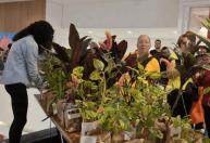 Mapro distribui mudas de plantas para celebrar chegada da primavera