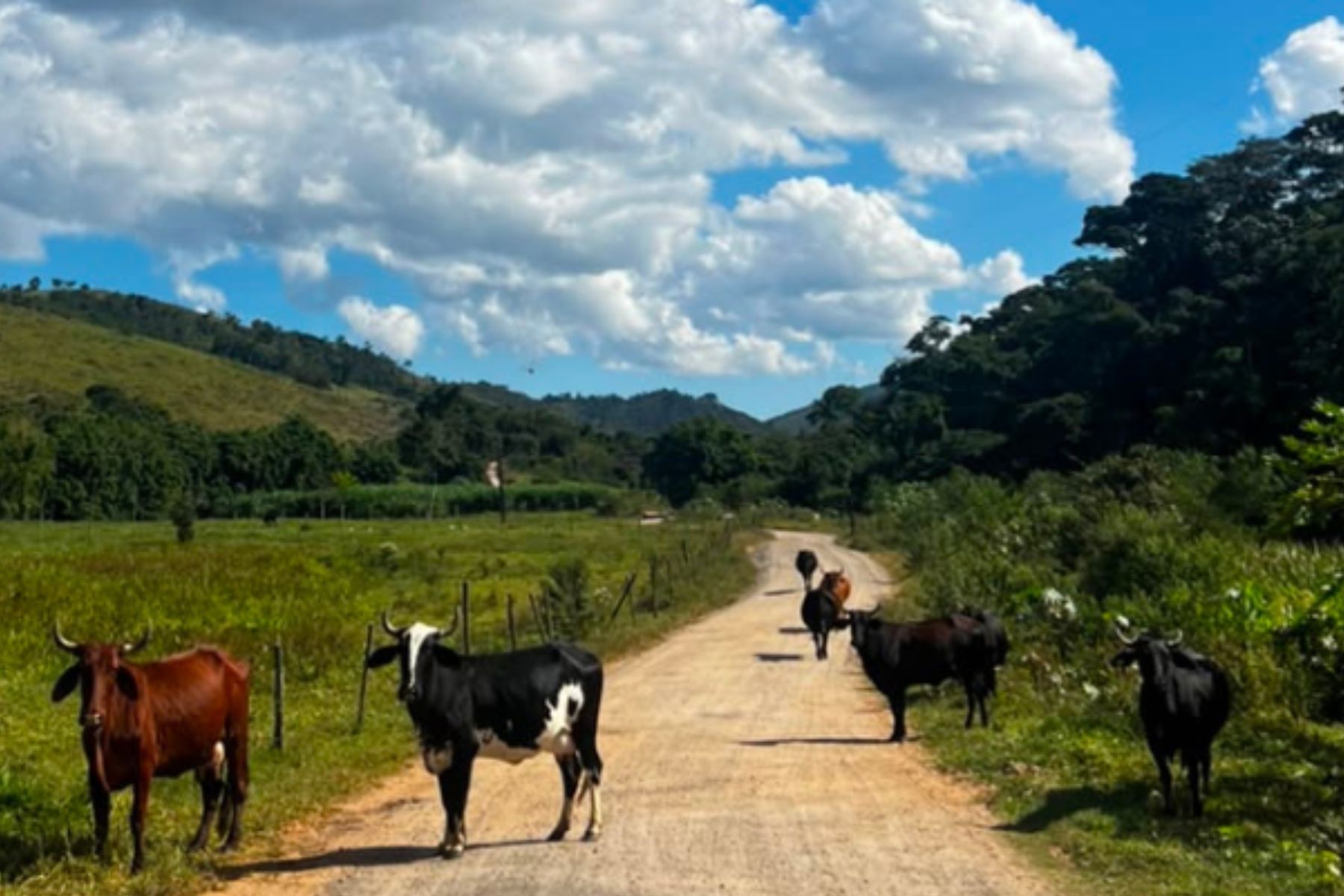 Projeto "Caminhos da Produção" será lançado nesta sexta (25), em Juiz de Fora