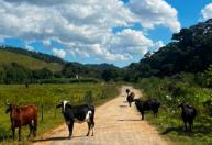 Projeto "Caminhos da Produção" será lançado nesta sexta (25), em Juiz de Fora