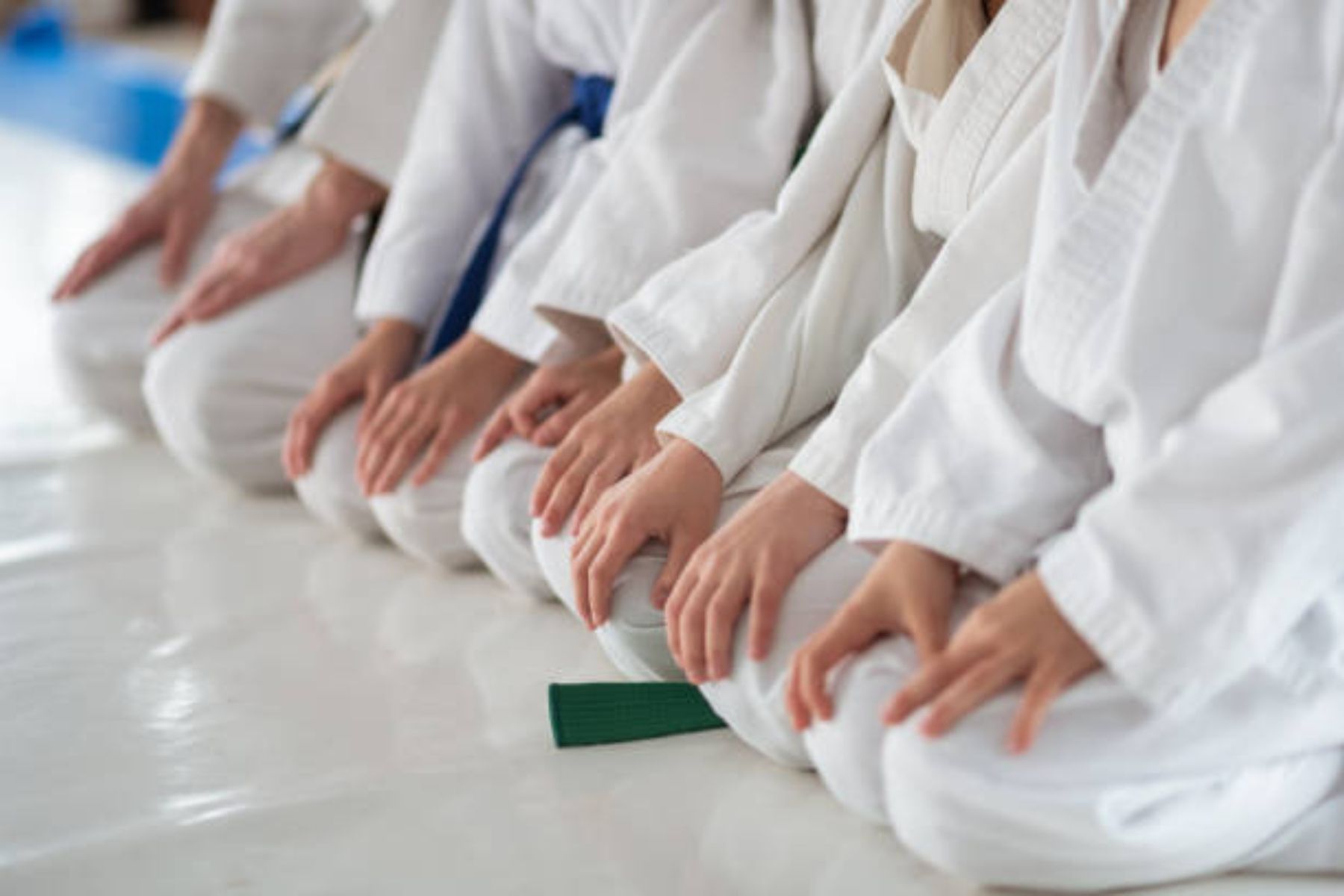 Quarta Semana de Artes Marciais reúne seis modalidades em Juiz de Fora