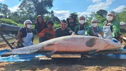 Pirarucu de 137 quilos bate recorde de captura em Rondônia