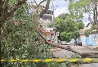 Após temporal, bairros em Ipatinga ainda estão sem fornecimento de energia nesta sexta (18)