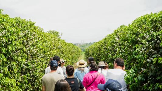 Programa Check-in Turismo, do Sebrae Minas, estruturou 245 novas experiências turísticas em Minas Gerais