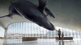 Museu The Whale terá exposições sobre baleias, além de espaços voltados à arte, à ciência e à contemplação
