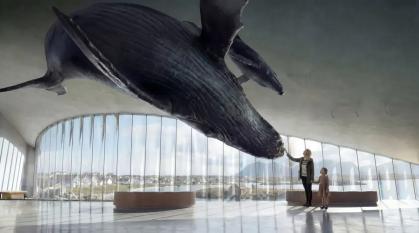 Museu The Whale terá exposições sobre baleias, além de espaços voltados à arte, à ciência e à contemplação