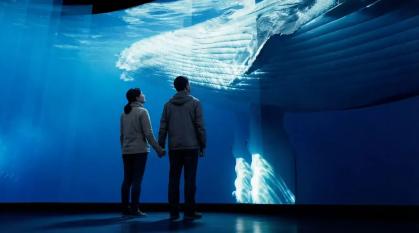 Museu The Whale terá exposições sobre baleias, além de espaços voltados à arte, à ciência e à contemplação