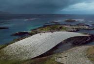 Museu dedicado às baleias será inaugurado na Noruega