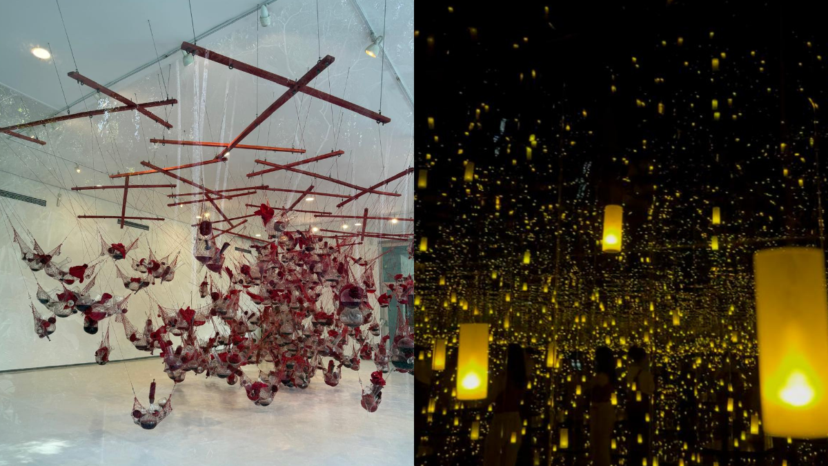 De Tunga a Yayoi Kusama: a primeira e a mais nova galeria do Inhotim
