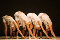 Quik Cia de Dança comemora 26 anos com o projeto 'Encontro de Improvisadores' em BH e Nova Lima