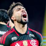 Flamengo lidera chances de título do Brasileirão após vitória, aponta UFMG