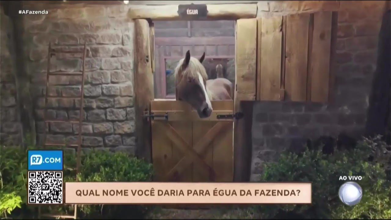 Galisteu abre votação para definir nome de nova égua de A Fazenda 18; veja opções