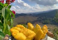 Do queijo ao pastel de angu, Grupo Herculano apoia tradições que contam a história de Minas