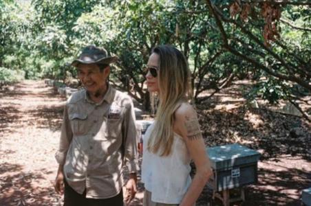 Angelina Jolie tem projeto no Camboja